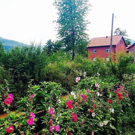 Peace Valley - Dolina Mira Janja Gora Exterior foto