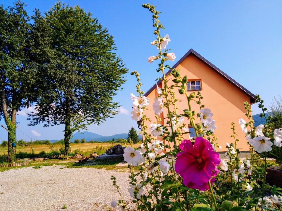 Peace Valley - Dolina Mira Janja Gora Exterior foto