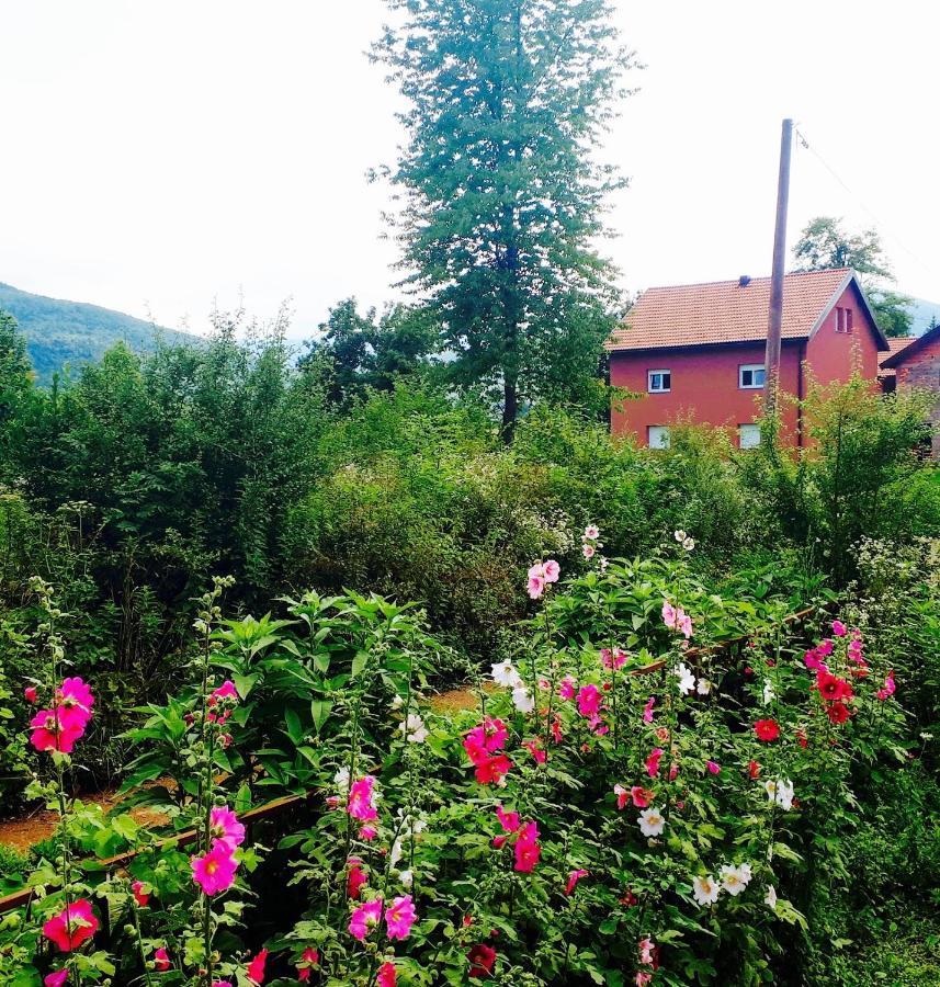 Peace Valley - Dolina Mira Janja Gora Exterior foto