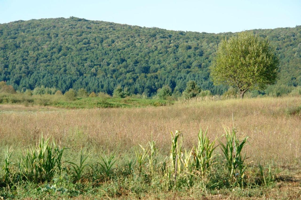 Peace Valley - Dolina Mira Janja Gora Exterior foto