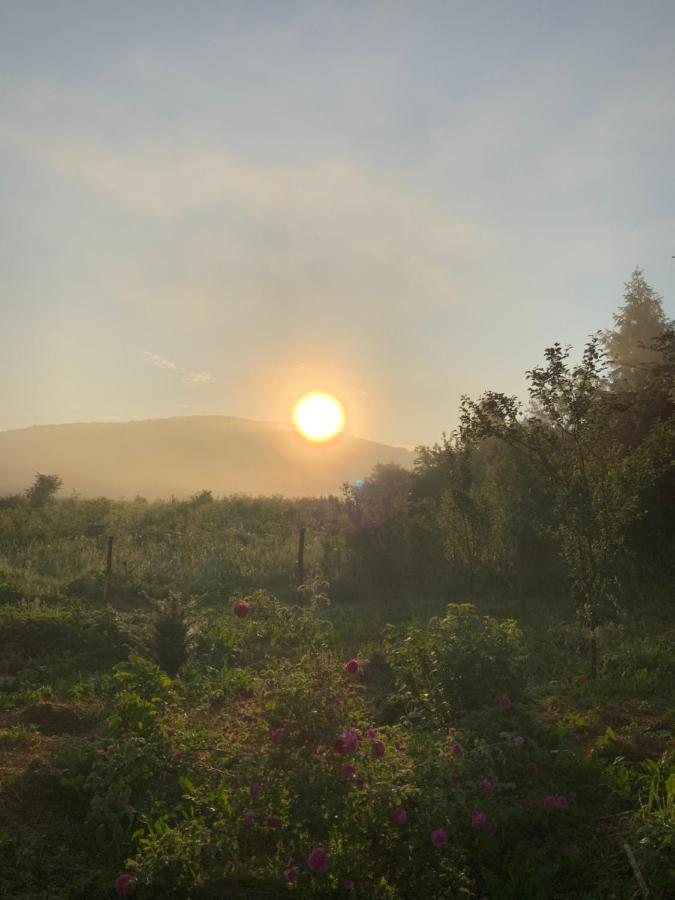 Peace Valley - Dolina Mira Janja Gora Exterior foto