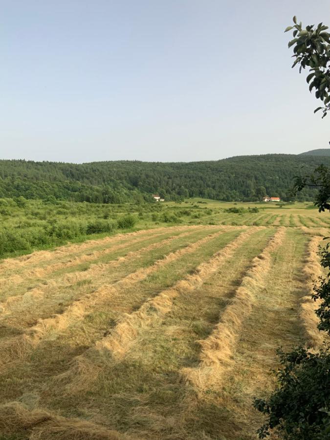 Peace Valley - Dolina Mira Janja Gora Exterior foto